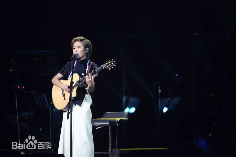 许飞少年去游荡巡回演唱会前后照片