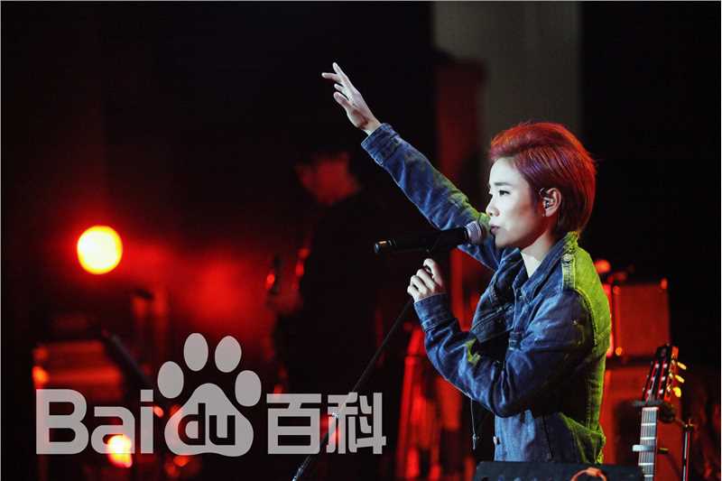 许飞少年去游荡巡回演唱会前后照片