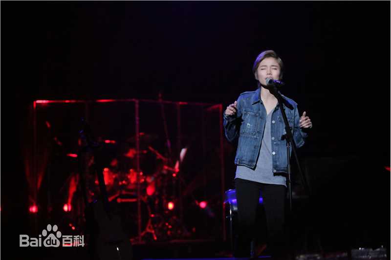 许飞少年去游荡巡回演唱会前后照片