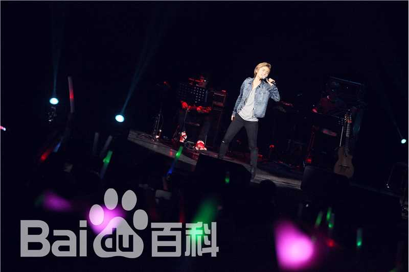 许飞少年去游荡巡回演唱会前后照片