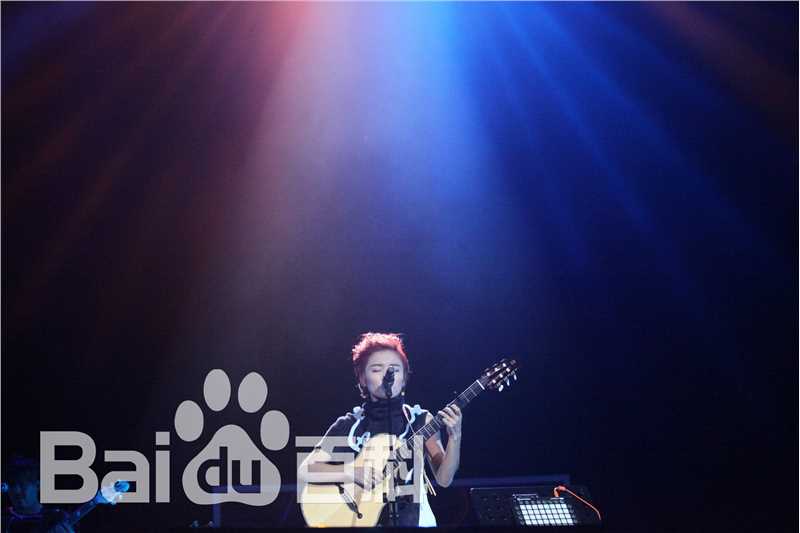 许飞少年去游荡巡回演唱会前后照片