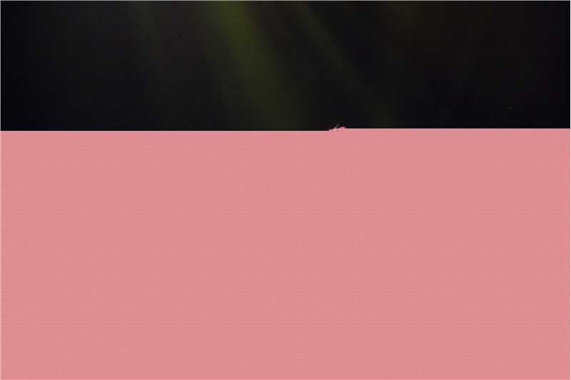 许飞少年去游荡巡回演唱会前后照片