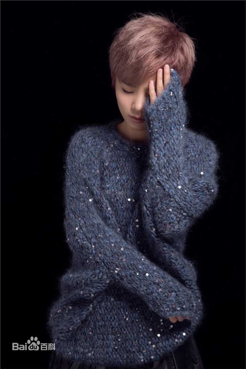 许飞专辑首唱会素颜照相册