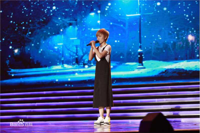 许飞cctv慈善之夜图片图册