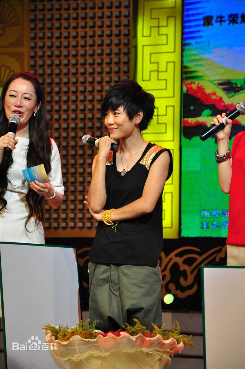 许飞2011年活动图片壁纸壁纸