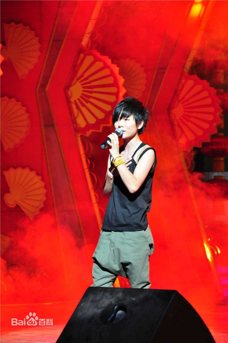 许飞2011年活动图片壁纸壁纸