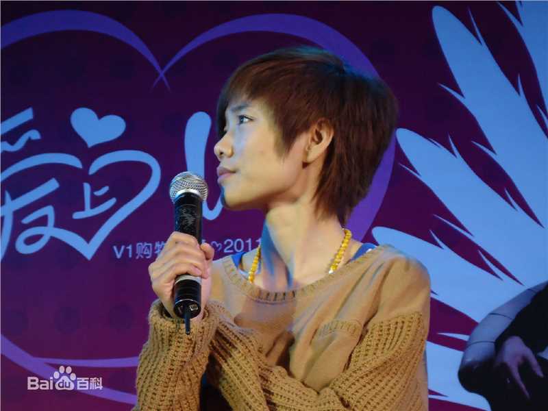 许飞2011年活动图片壁纸壁纸