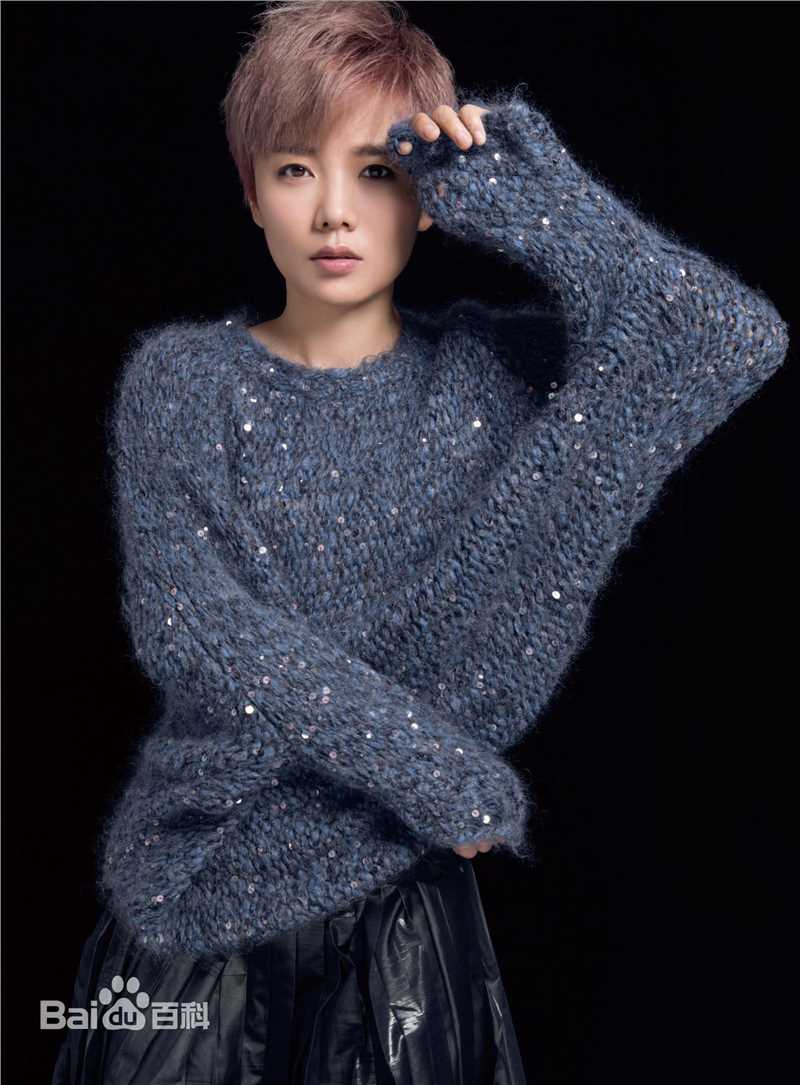 许飞概述图册性感图片图集