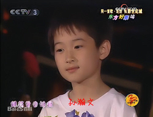 精选孙瀚文(sunhanwen)