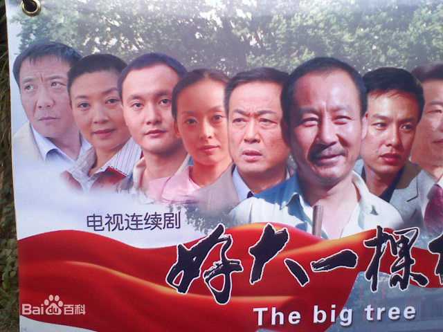 马少骅前后照片