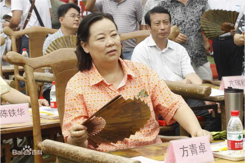 最全方青卓精彩图册