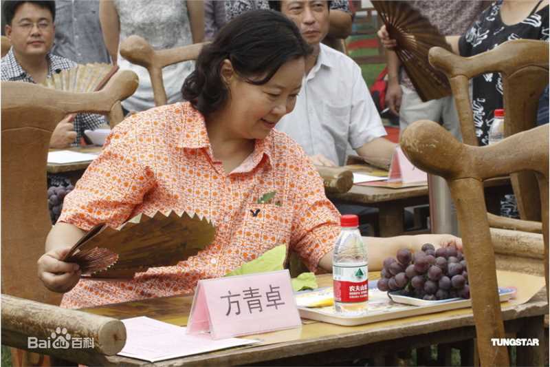 最全方青卓精彩图册