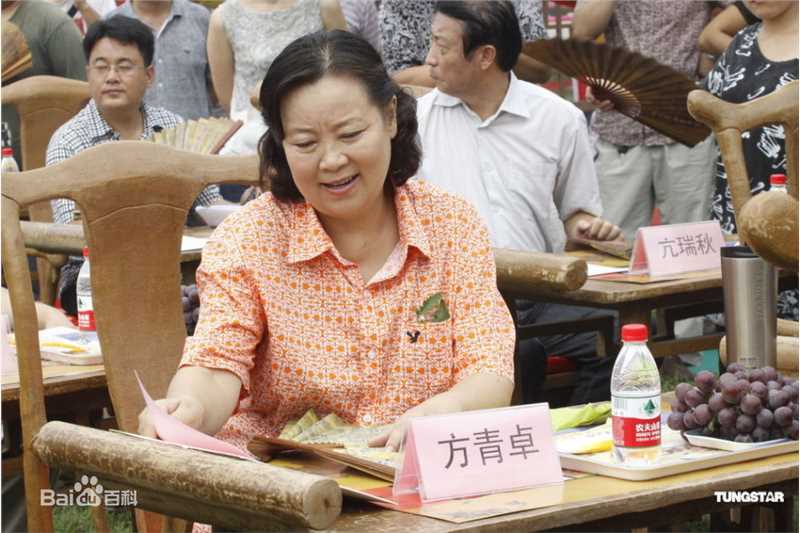 最全方青卓精彩图册