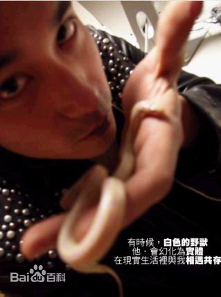 精选张孝全(Joseph、Hsiao-chuan Chang)