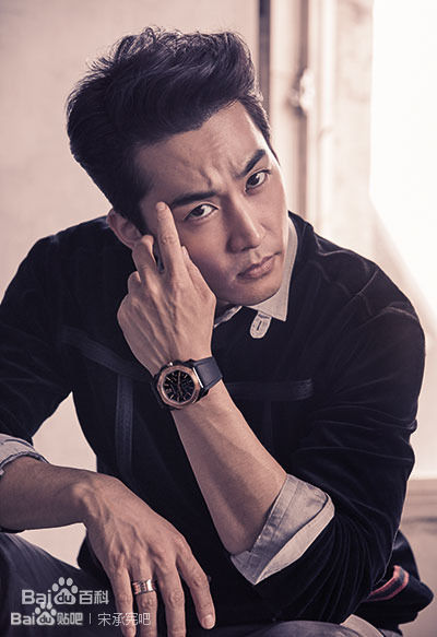 精选宋承宪(Song Seung Heon)