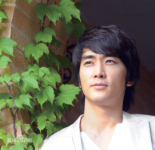 精选宋承宪(Song Seung Heon)