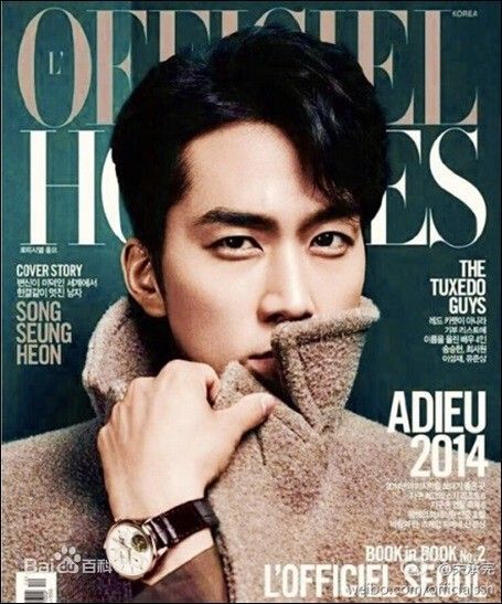 宋承宪(Song Seung Heon)精选杂志图册