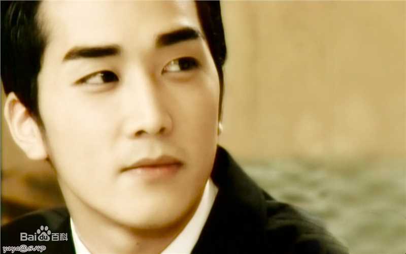 宋承宪(Song Seung Heon)电视剧形象素颜照相册