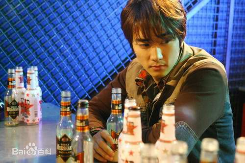 宋承宪(Song Seung Heon)电影形象生活照相册