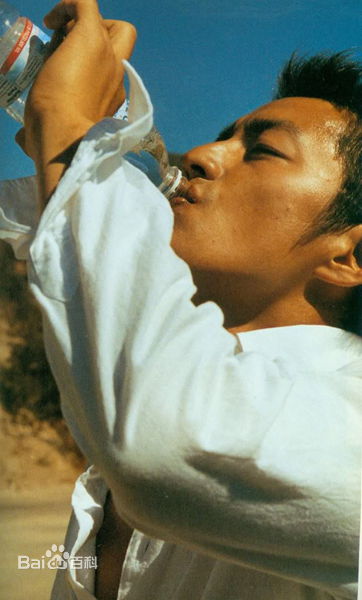 大泽隆夫(Osawa Takao)集