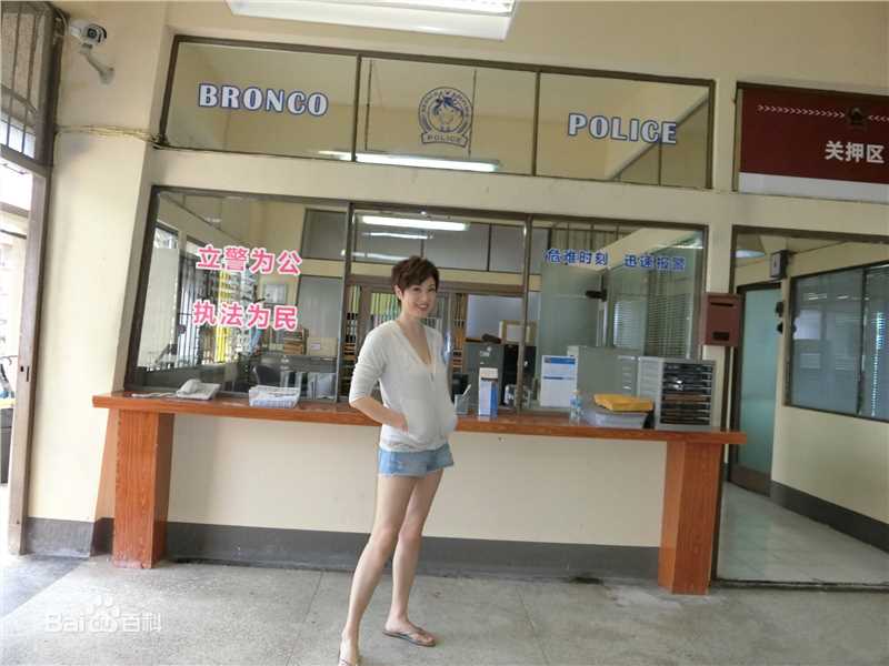 高清陈法蓉(MonicaChan、Chan Fat Yung)性感图片