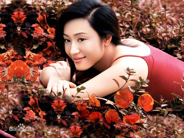 精选陈法蓉(MonicaChan、Chan Fat Yung)精彩图册