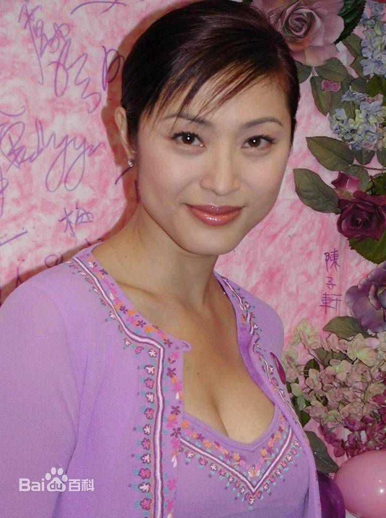 精选陈法蓉(MonicaChan、Chan Fat Yung)精彩图册