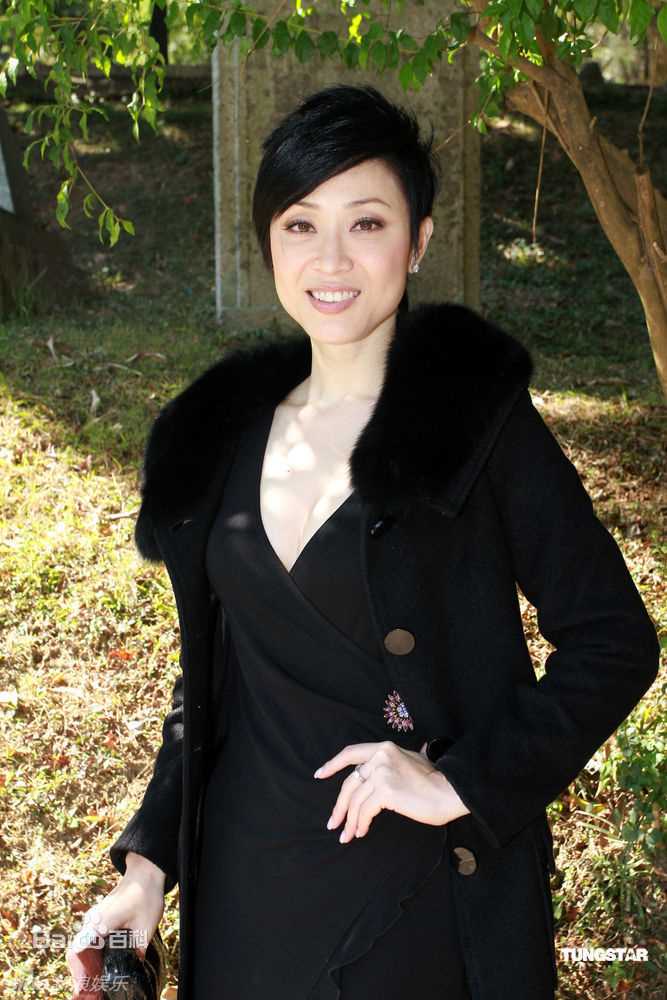 最全陈法蓉(MonicaChan、Chan Fat Yung)精彩图册