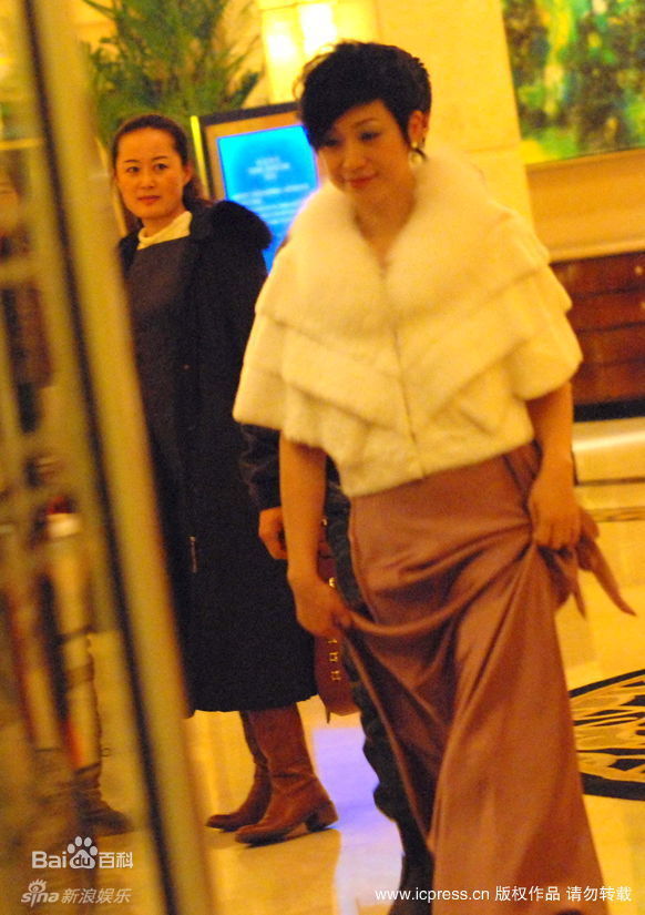 最全陈法蓉(MonicaChan、Chan Fat Yung)精彩图册