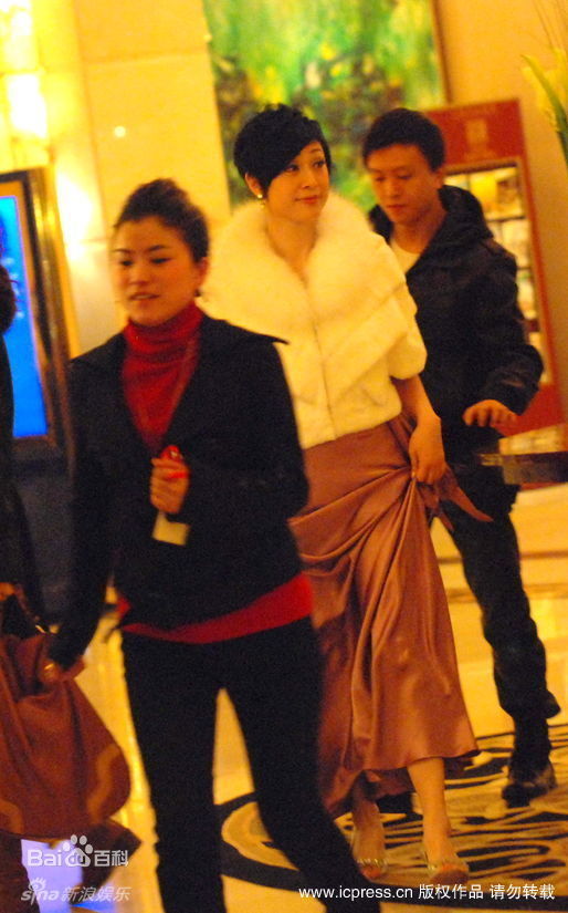 最全陈法蓉(MonicaChan、Chan Fat Yung)精彩图册