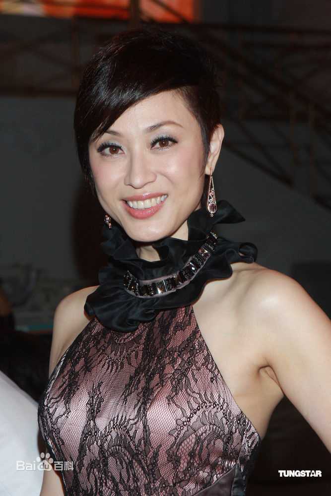 最全陈法蓉(MonicaChan、Chan Fat Yung)精彩图册