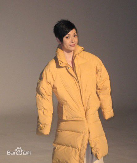 陈法蓉(MonicaChan、Chan Fat Yung)微博贴图壁纸壁纸
