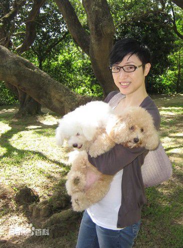 陈法蓉(MonicaChan、Chan Fat Yung)微博贴图壁纸壁纸