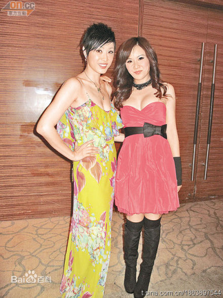 陈法蓉(MonicaChan、Chan Fat Yung)微博贴图壁纸壁纸