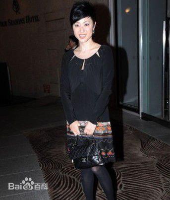 陈法蓉(MonicaChan、Chan Fat Yung)微博贴图壁纸壁纸