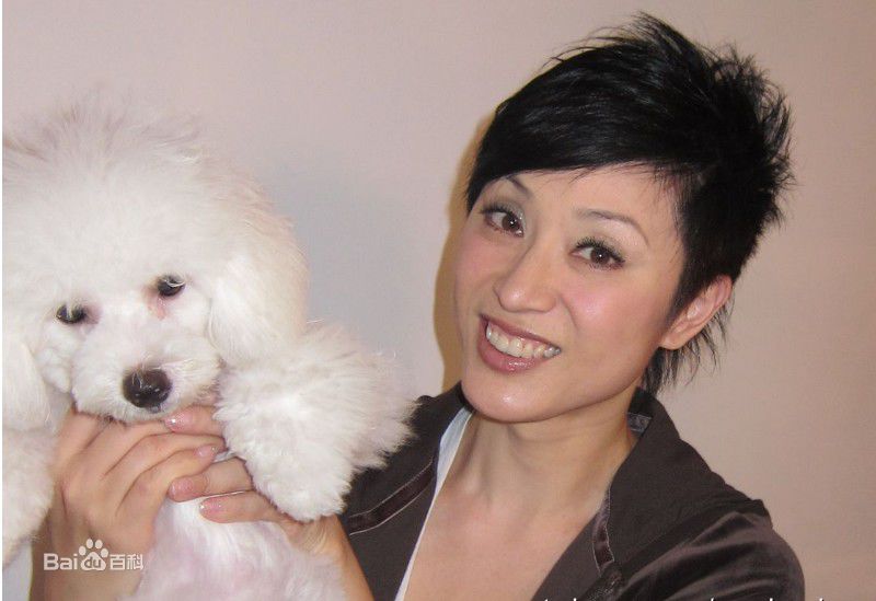陈法蓉(MonicaChan、Chan Fat Yung)微博贴图壁纸壁纸