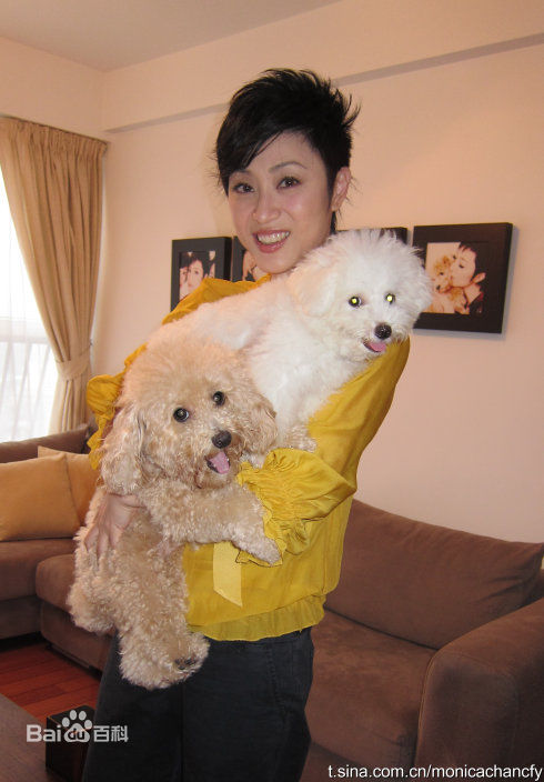 陈法蓉(MonicaChan、Chan Fat Yung)微博贴图壁纸壁纸