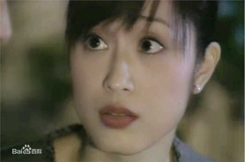 陈法蓉(MonicaChan、Chan Fat Yung)概述图册前后照片