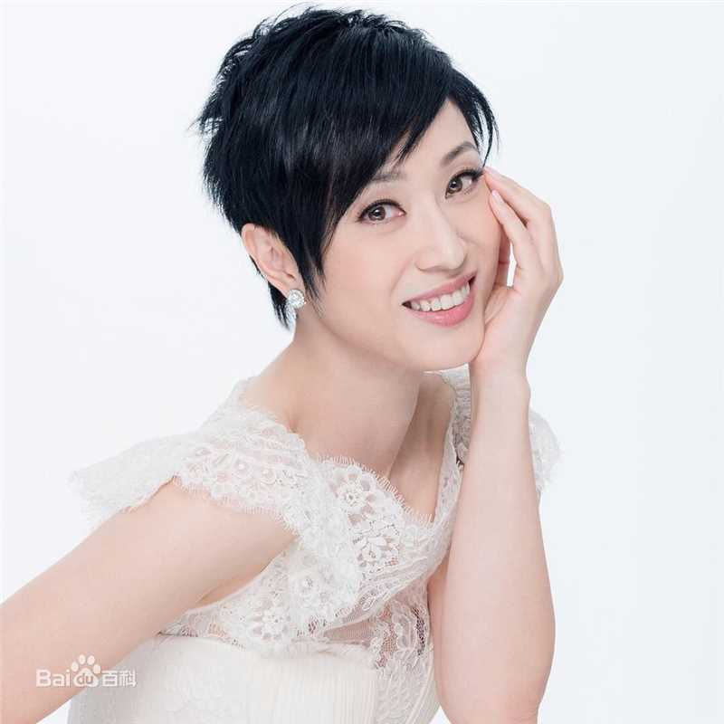 陈法蓉(MonicaChan、Chan Fat Yung)概述图册前后照片