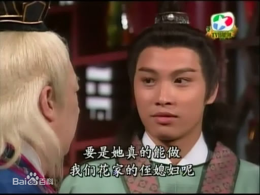 谭耀文(Patrick Tam)电视剧《恨锁金瓶》最全剧照