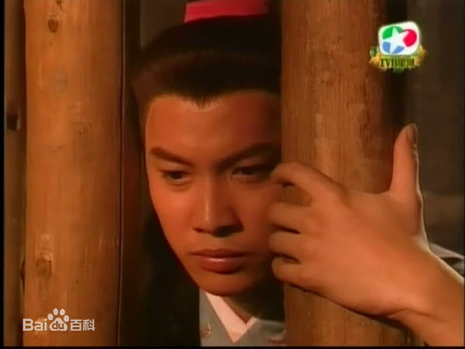 谭耀文(Patrick Tam)电视剧《恨锁金瓶》最全剧照