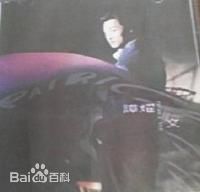 精选谭耀文(Patrick Tam)