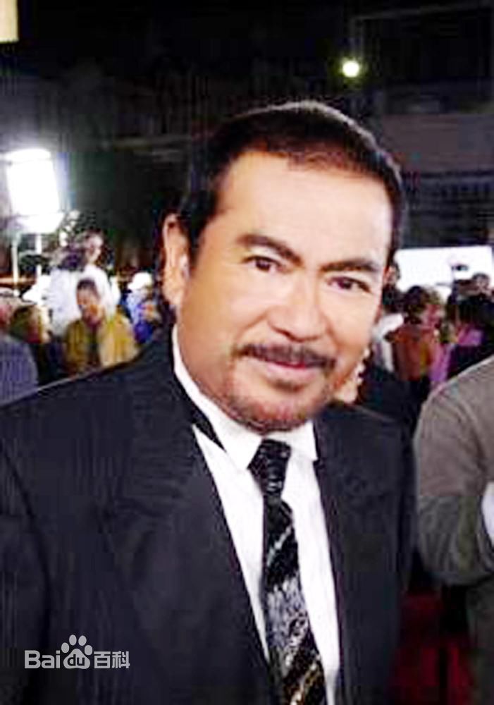 最优质千叶真一(Sonny Chiba)精彩图册