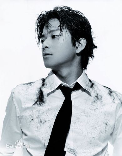 陈晓东(Daniel Chan)历年专辑图片前后照片