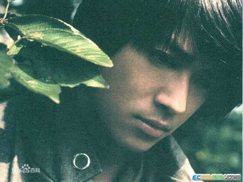 陈晓东(Daniel Chan)历年专辑图片前后照片