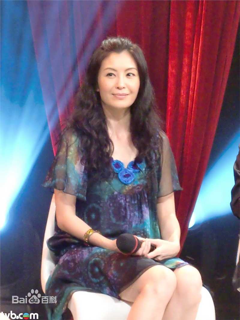 最全伍咏薇(Christine Ng)精彩图册