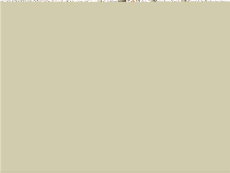 曲江涛工作图册前后照片