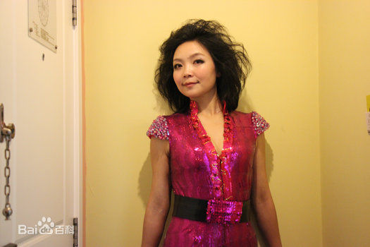 冯小宁(ShinyFeng)济南站演唱会性感图片图集