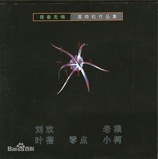 高晓松 青春无悔图片图册