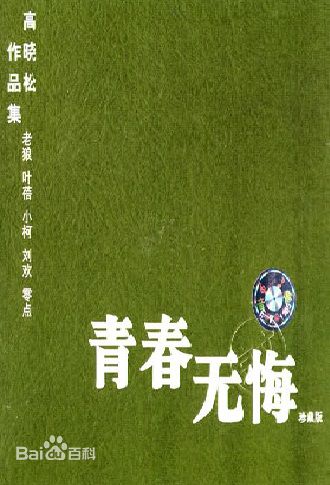 高晓松 青春无悔图片图册